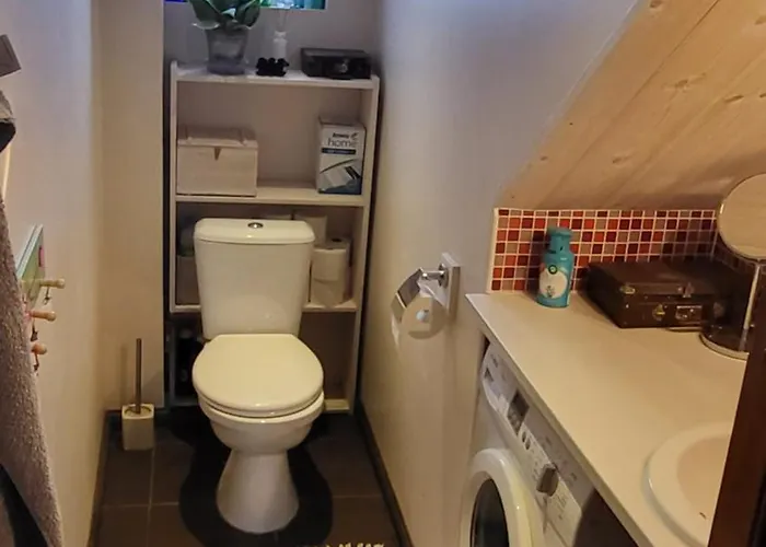 Private House With A Garden In Quiet Area In Kristiine טאלין